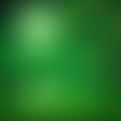 2025 წლის 30 იანვარი,ეს არის მე-2 მთვარის დღე რეკომენდაციები!