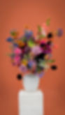 DSC00248-Edit-2.jpg