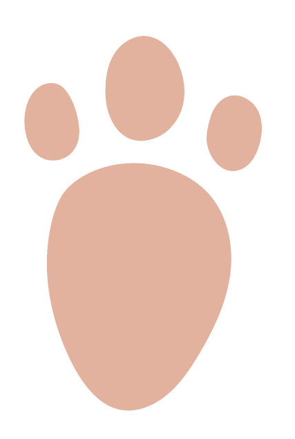 Adesivos de Pegadas do Coelho