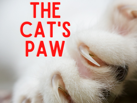 The Cat's Paw