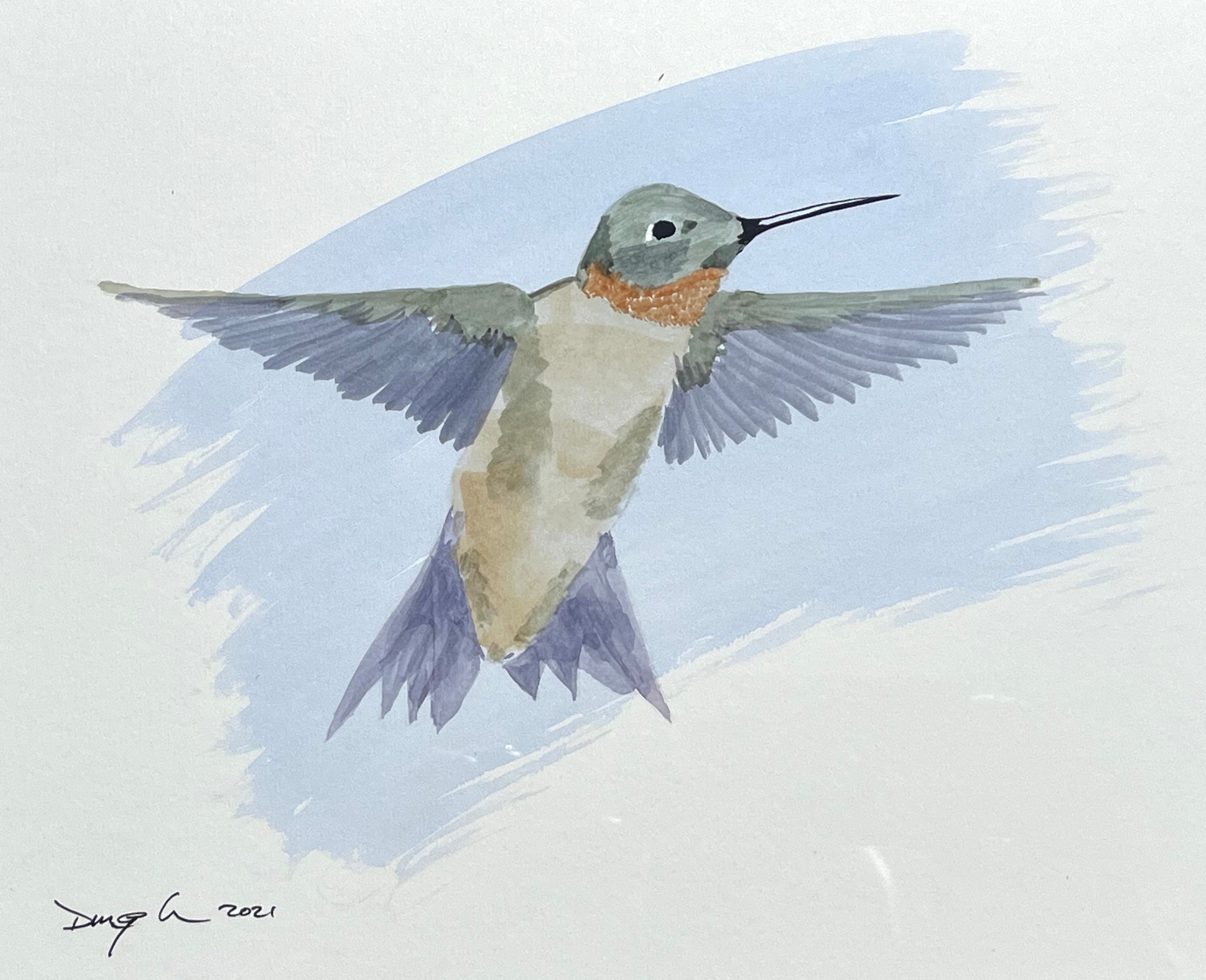 Humming Bird