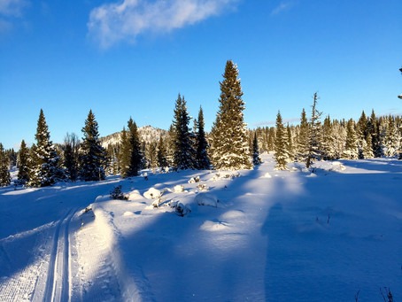 Nytt om mobilmasta på Lundkampen