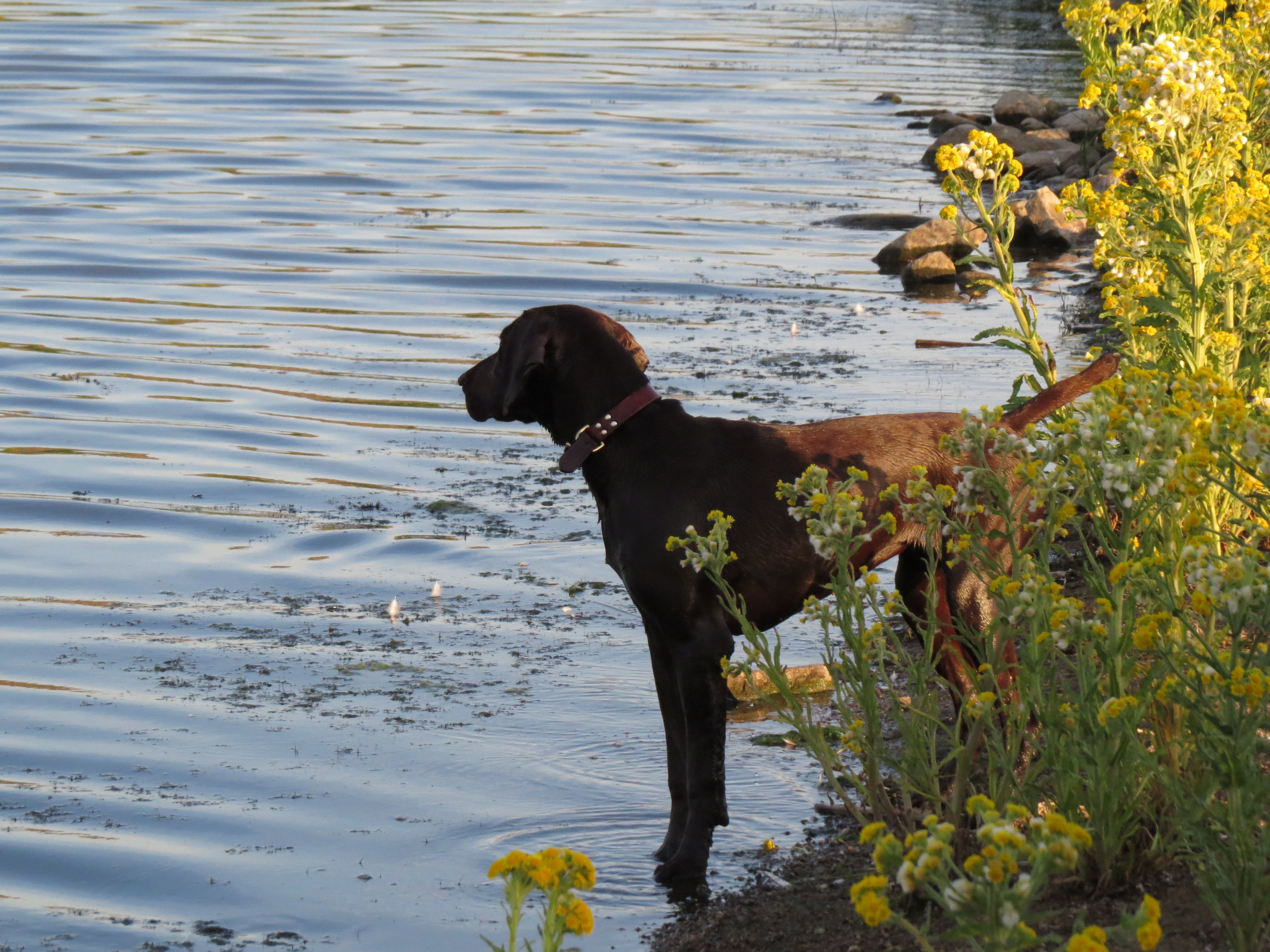 Water training - 2017