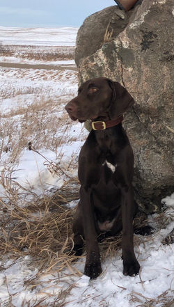 Hunting in 2019
