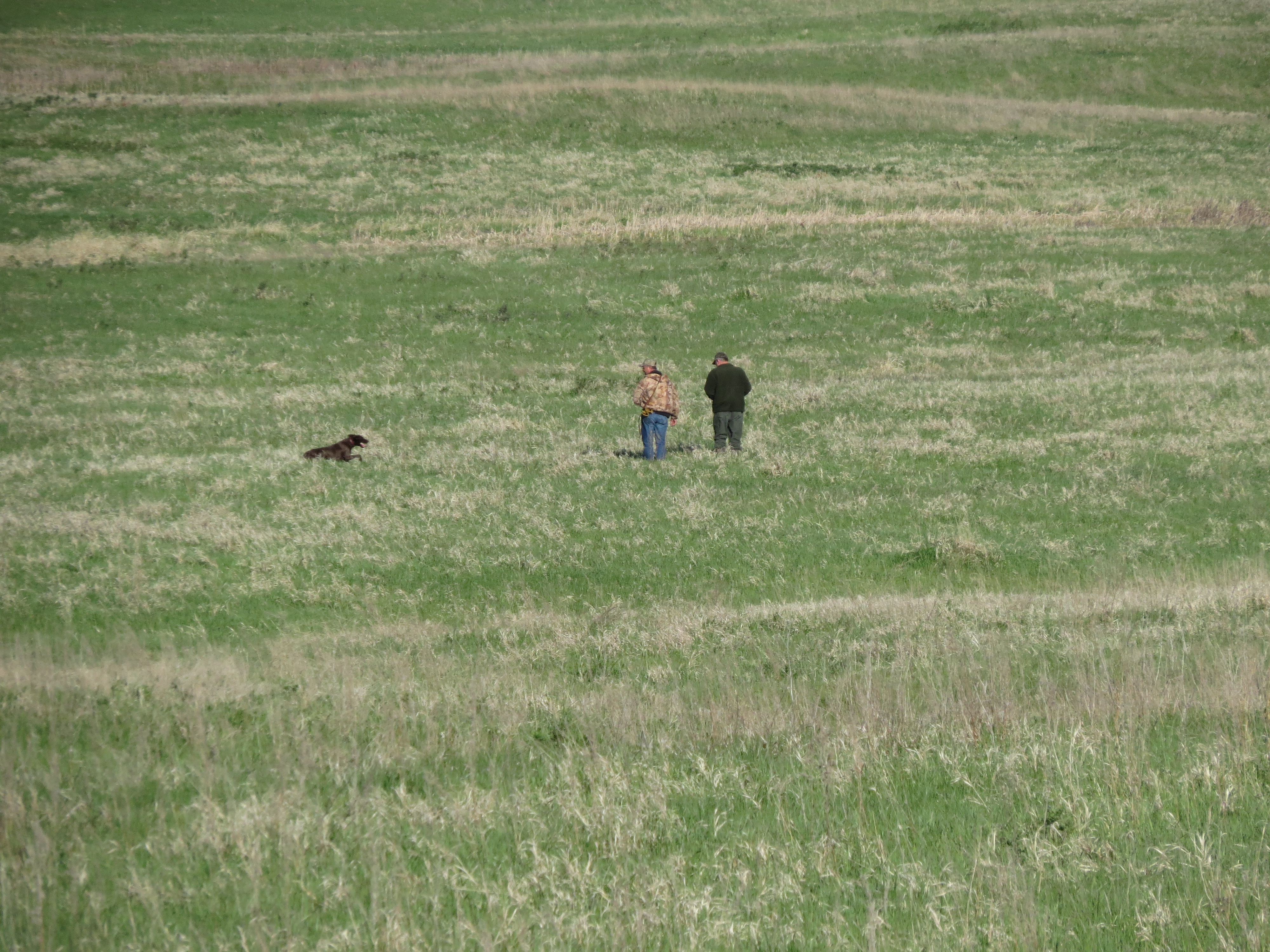 Derby - field work