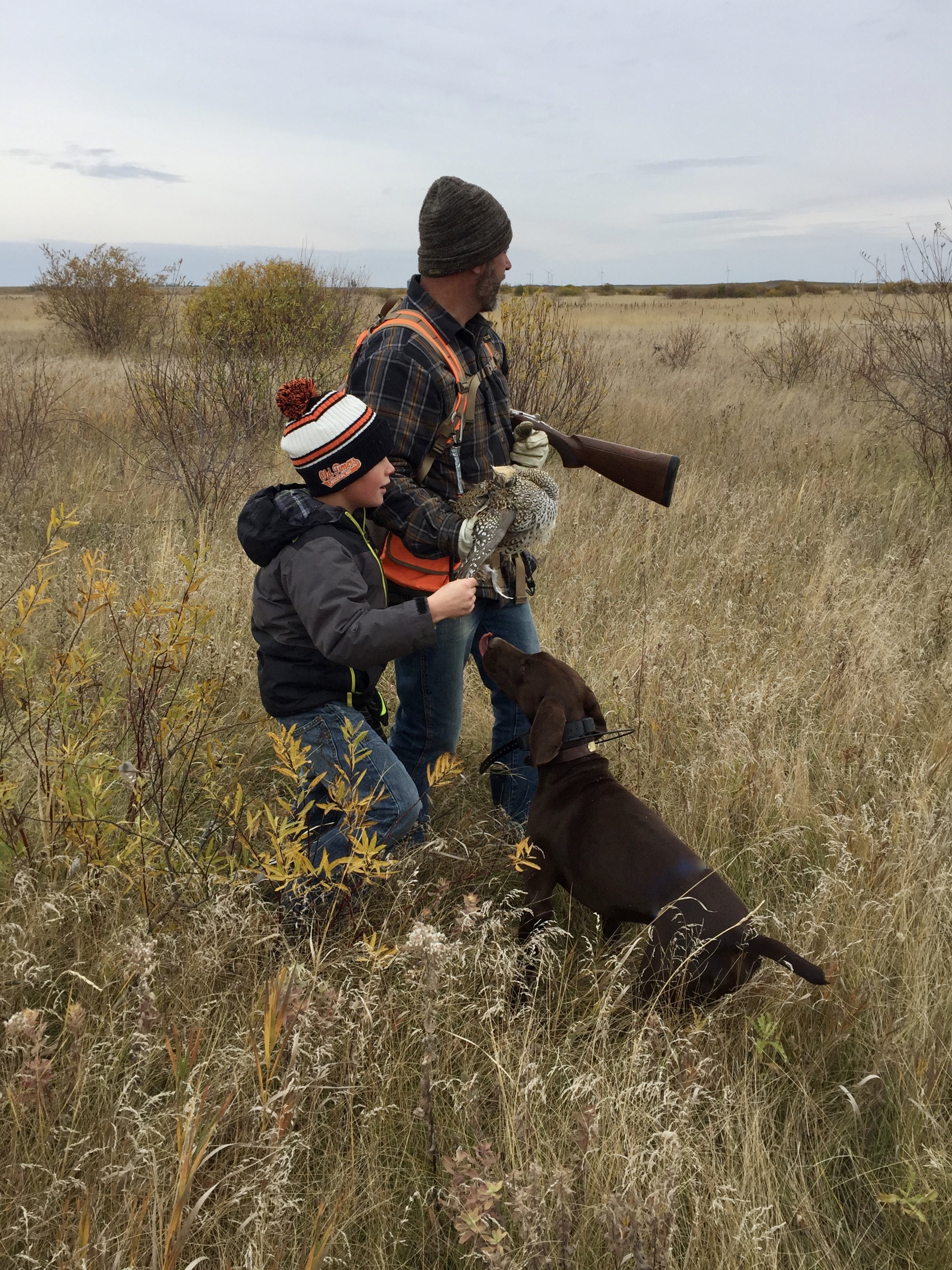 Grouse hunting - 2017