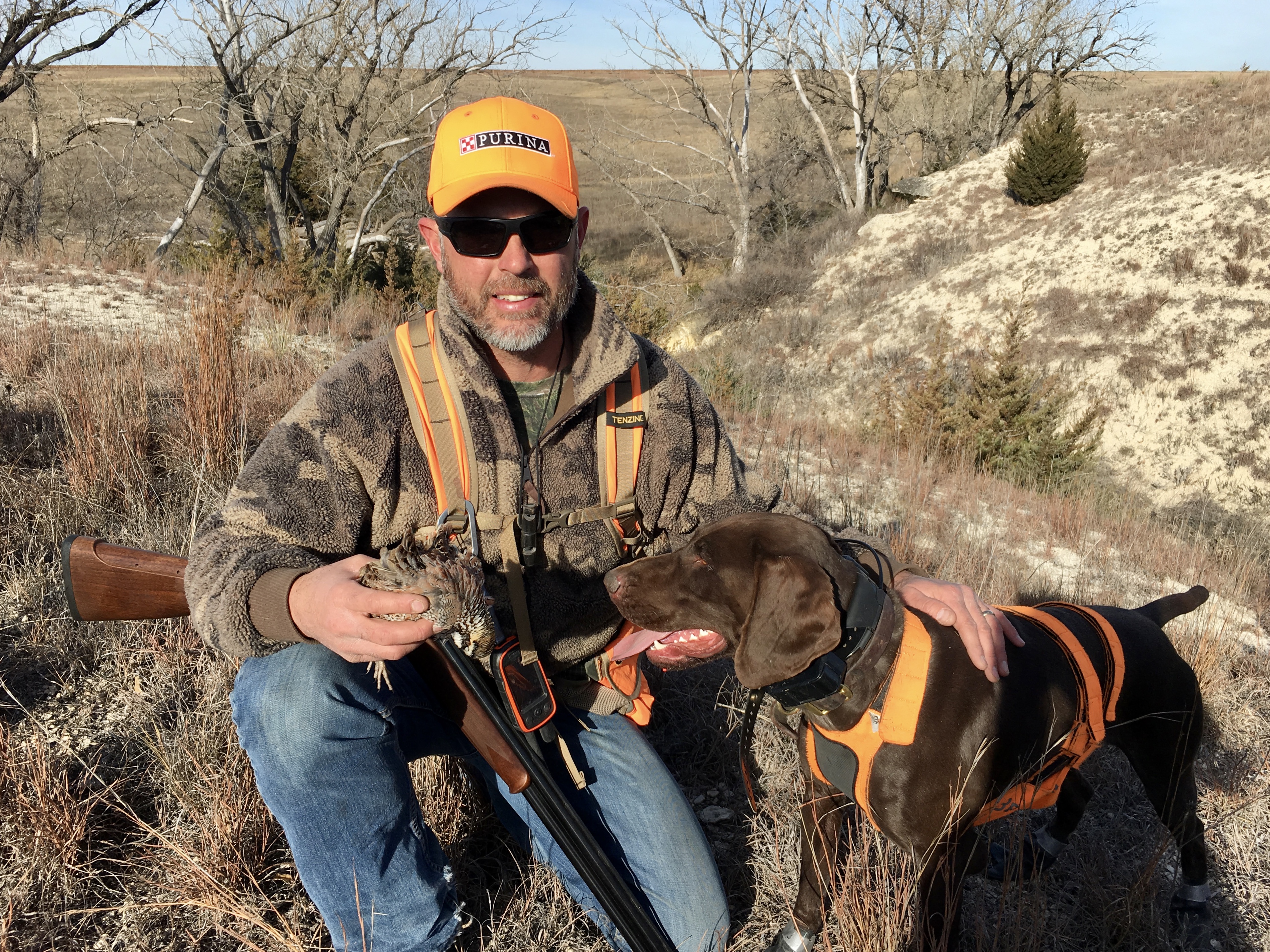 Quail hunting - 2017