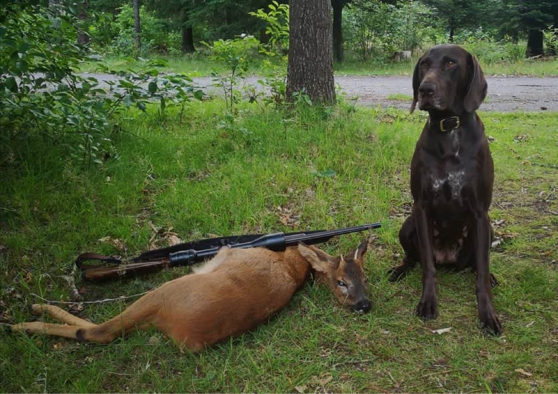 Germany - after a deer hunt with leader Huburtus