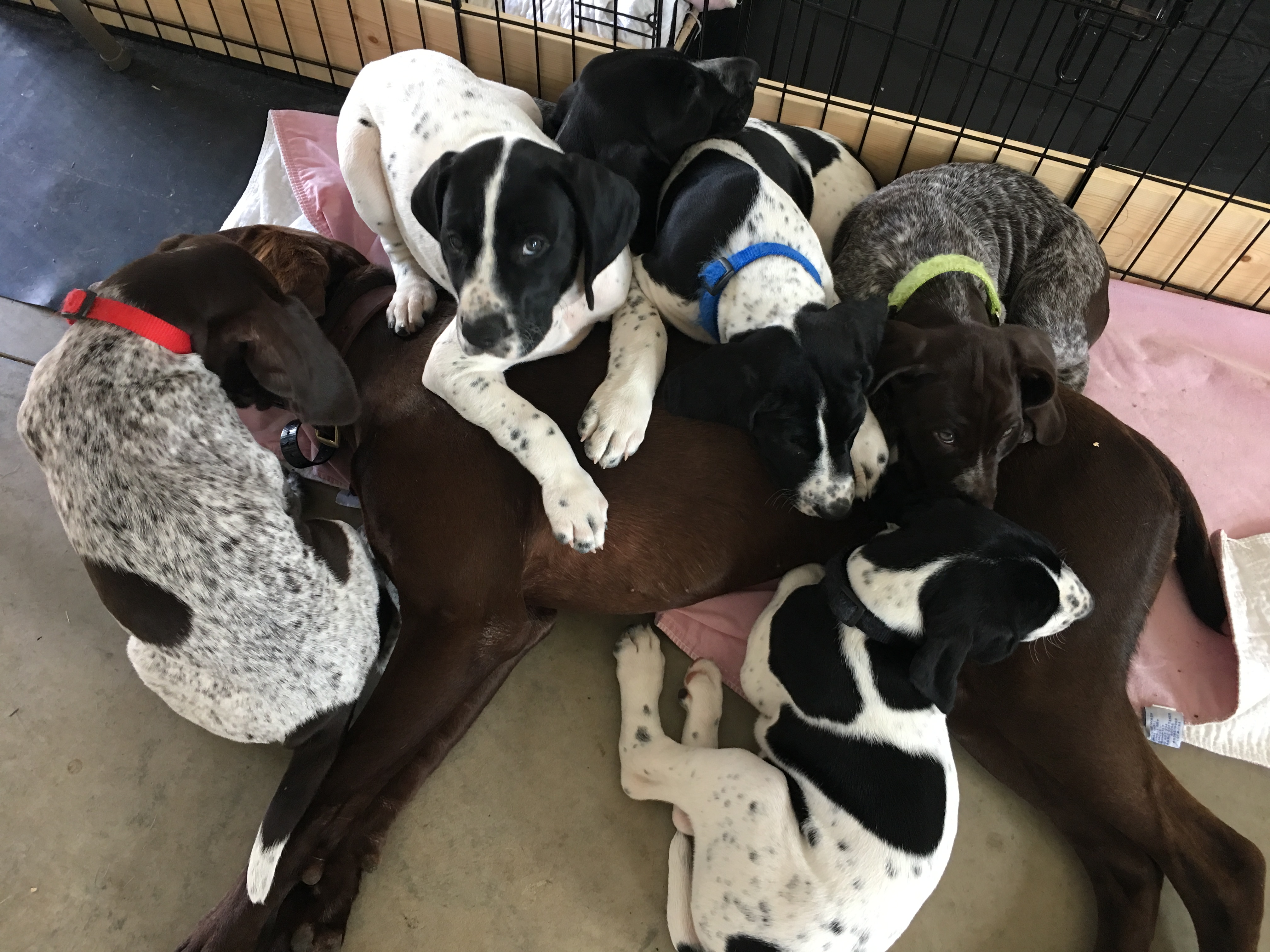 Anna loving her brothers and sisters