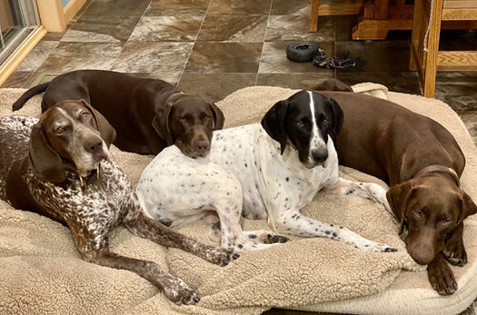 The Girls - Fall 2020.jpeg