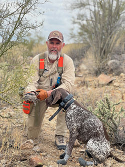 Dolly 13 mo. - Gamble Quail hunt 2024