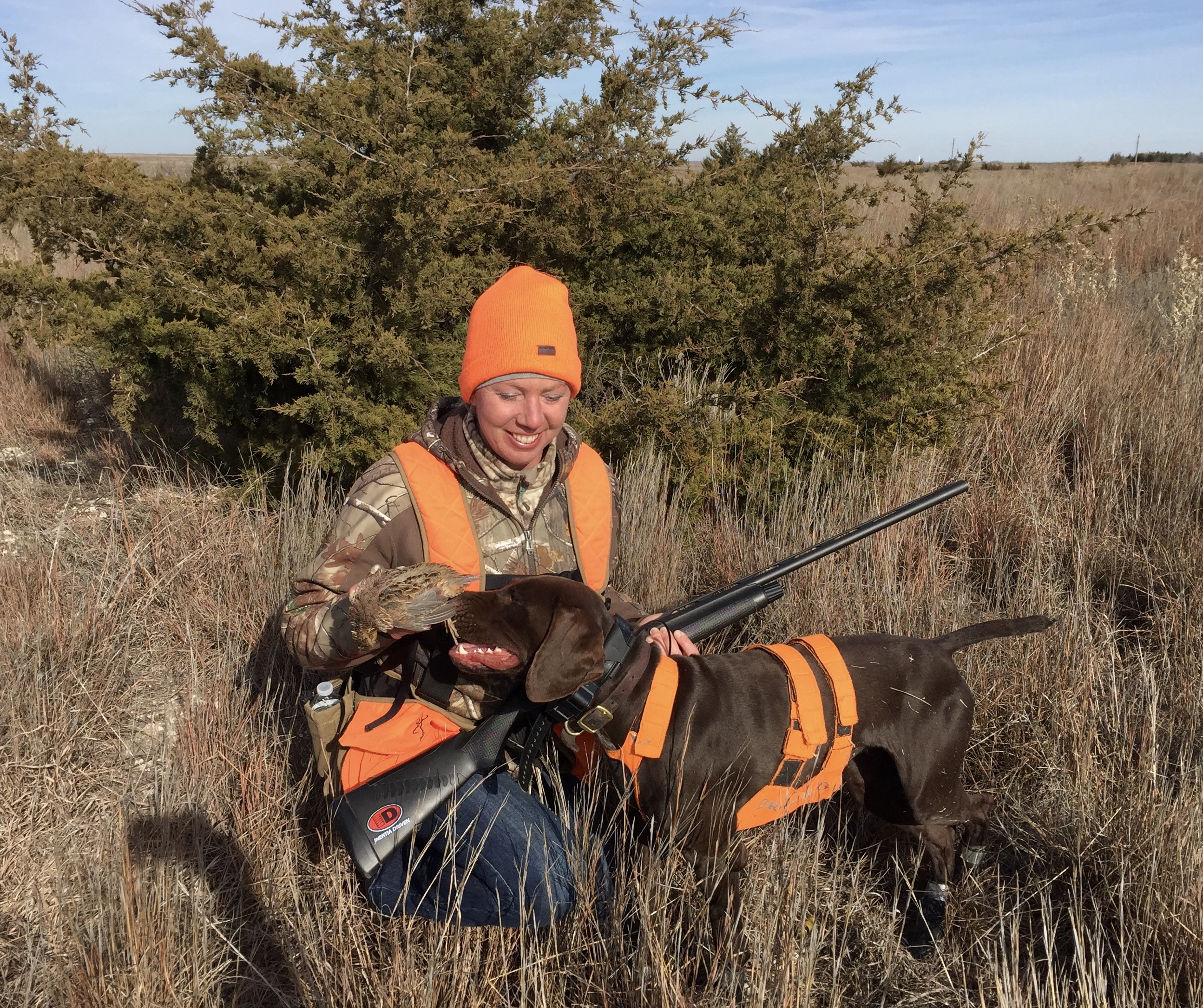 Jen's first quail-great work by Anna
