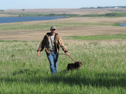 Derby - after field work