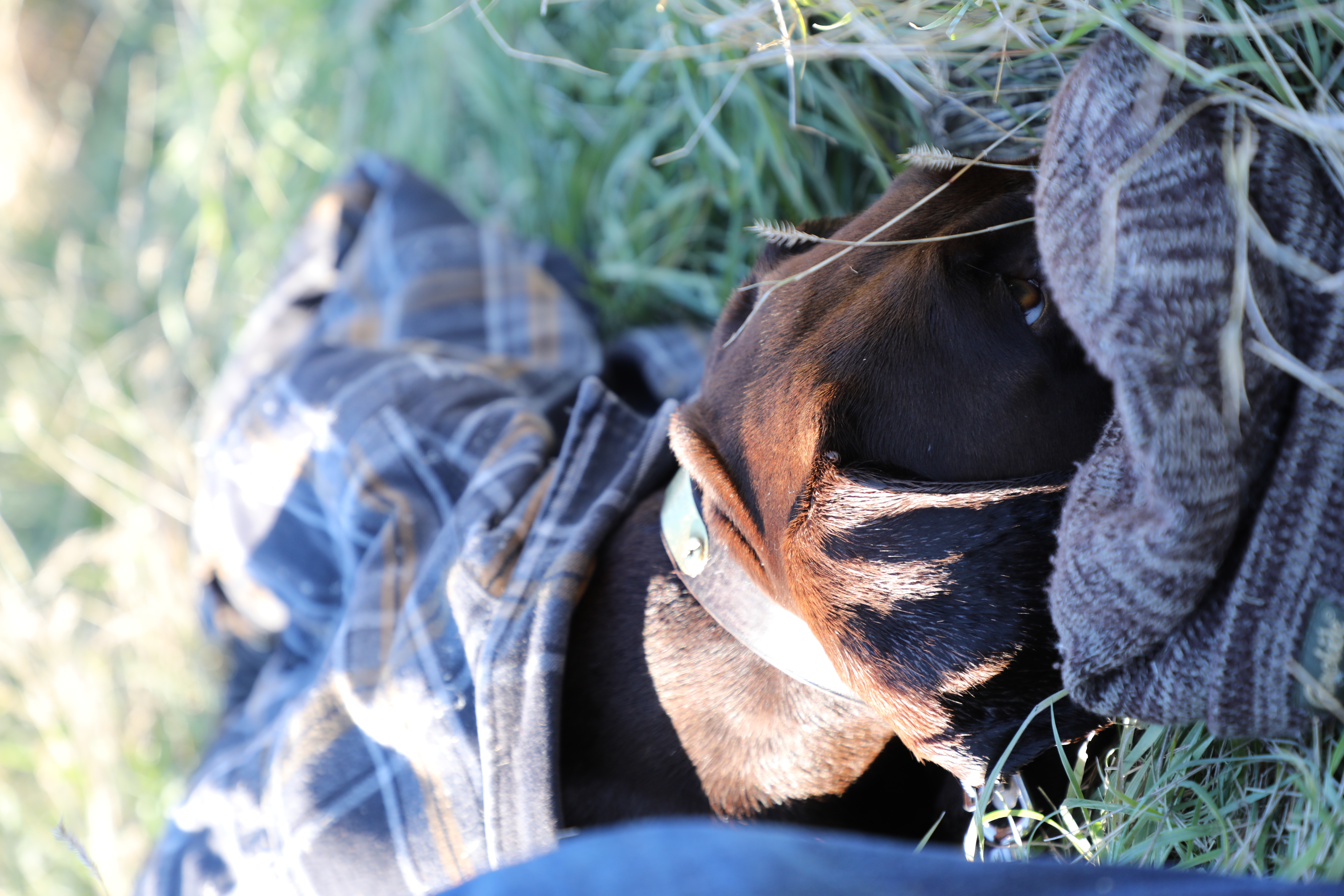 A little rest after VGP water work
