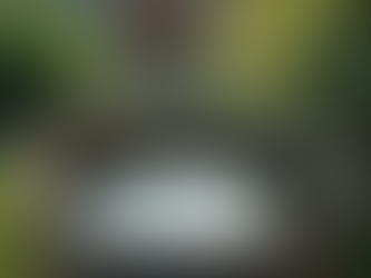 Mosquito Proofing Your Backyard: Effective Tips for Homeowners