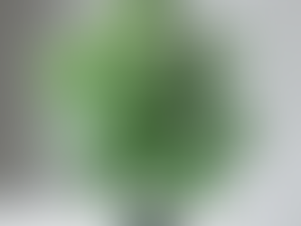 Fake Cannabis Plant: What It Is, Uses, Legalities, and Market Trends