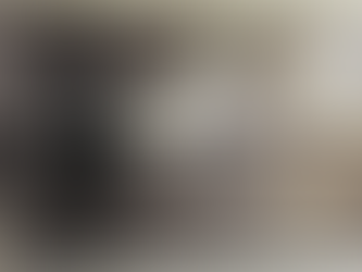 Custom Stainless Steel Cabinets for Indoor Kitchens: What You Need to Know