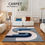 Miniature : Light Luxury Carpets for Living Room Shaped Irregular Plush Floor Mat Nordic Bed