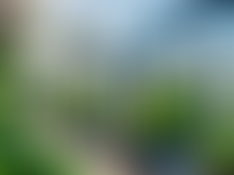 Custom Greenhouses: Unlocking the Full Potential of Your Garden