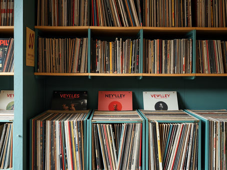 Creative Vinyl Record Storage Solutions for Homes
