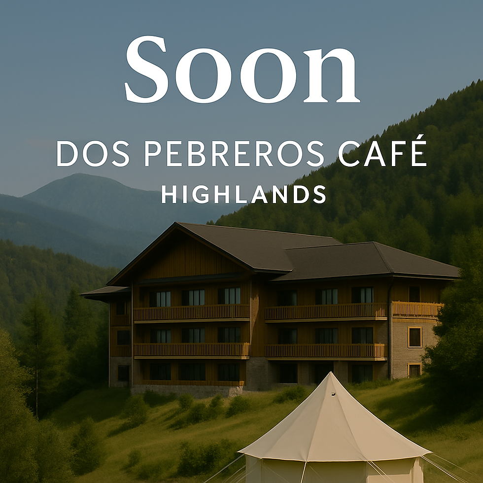 ChatGPT Image Aug 11, 2025, 12_15_55 PM.png