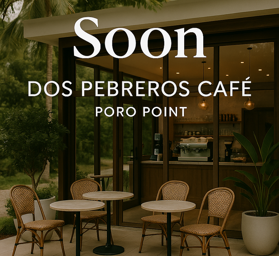 ChatGPT Image Aug 11, 2025, 11_38_56 AM.png