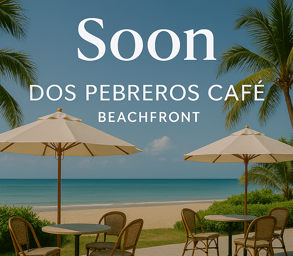 ChatGPT Image Aug 11, 2025, 12_14_11 PM.png