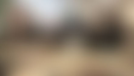 EBF Candidate Search: Coordinator for Migration Issues