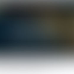 Hoorzitting US Senaat 08.12.2020