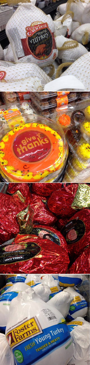 Ready for Thanks Giving