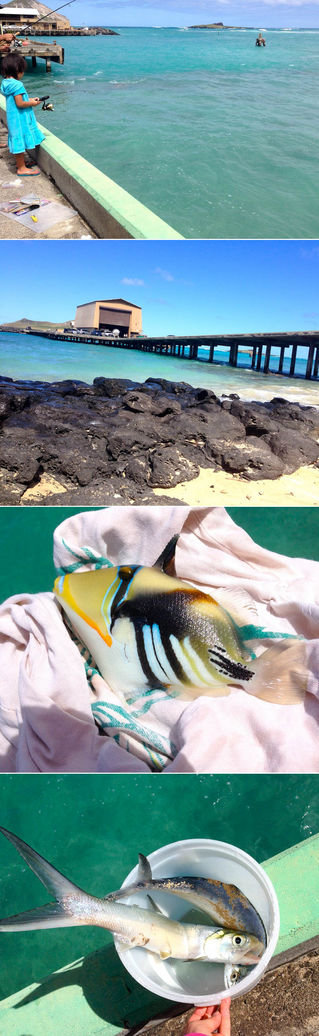 humuhumunukunukuapuaa!!