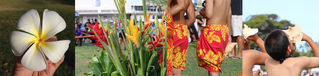 5.1. LEI DAY