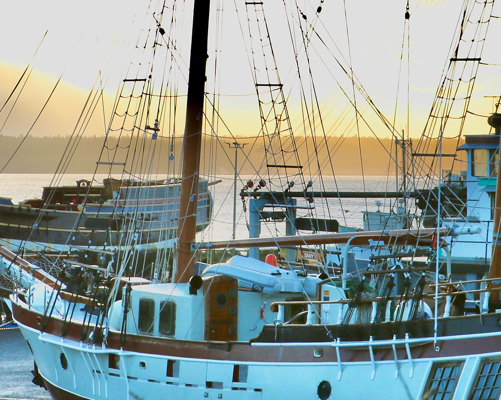 Thumbnail: NorthWest