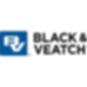 BlackVeatch.png