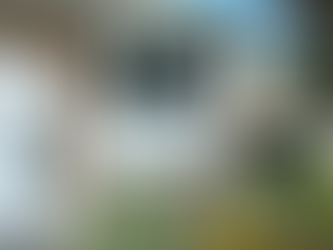 Why Window Replacement is a Smart Investment