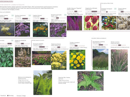 ENVT-1107-M01-2025-26 Landscape Design (Term 2 week 9)