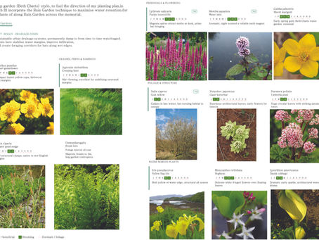 ENVT-1107-M01-2025-26 Landscape Design (Term 2 week 10)