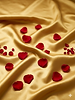 332b68bb-c9b6-4055-8887-2f110053b6b2.png
