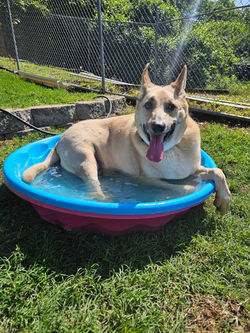Pool Time