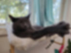 Just Hanging Out
