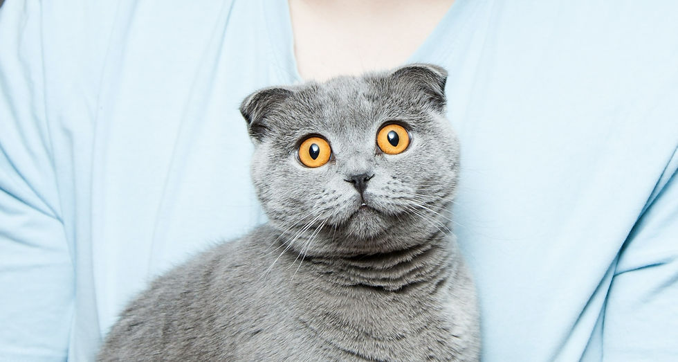ree