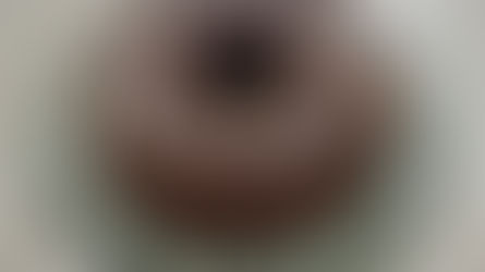 Bolo de chocolate e castanha do Pará