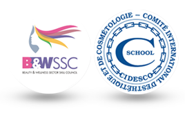 bwssc-cidesco-logo.png