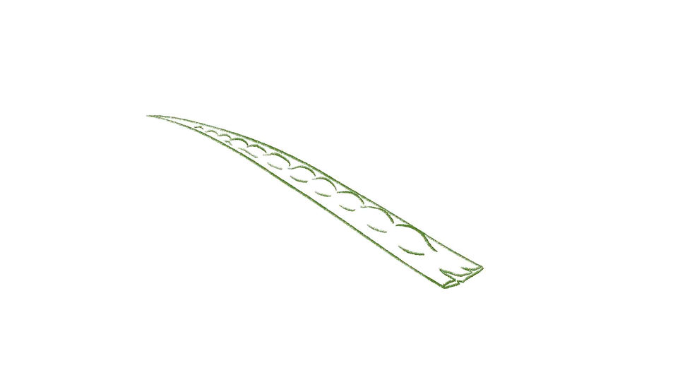Seagrass still 2