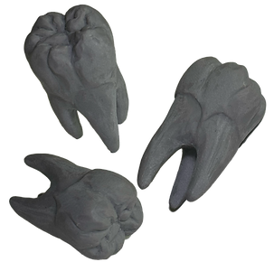 TEEF.png