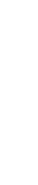worms website straight.png