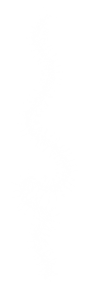 worms website s2.png