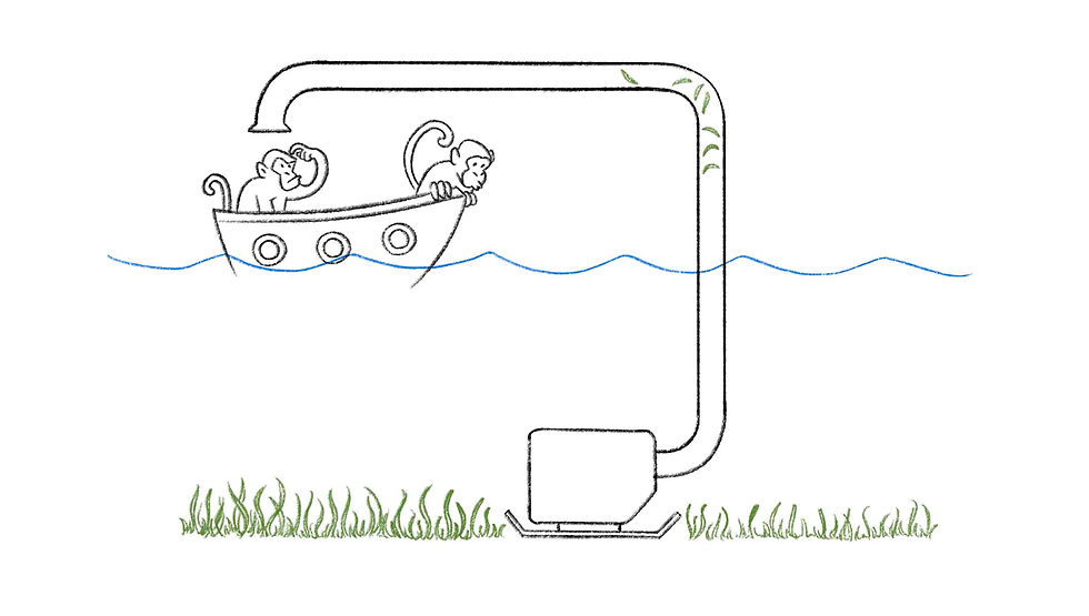 Seagrass still 3