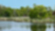 LAKE1.jpg