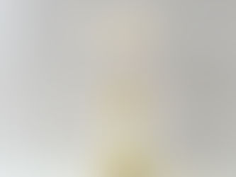 Detour Farms Vanilla Eggnog reed diffuser, a 4oz clear glass bottle with white sola flower reeds
